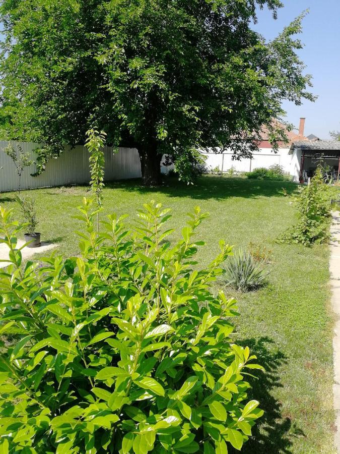 Hotel Zsuzsanna Vendeghaz Gyomaendrőd Zewnętrze zdjęcie